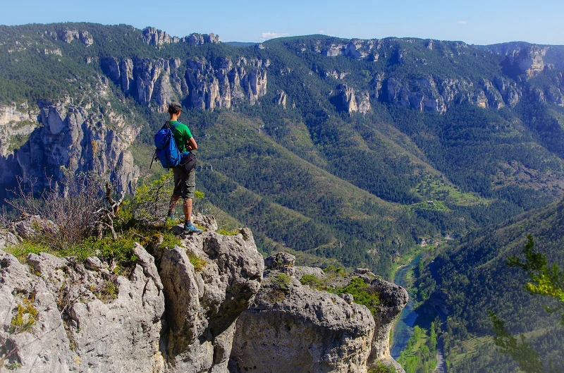 les gorges du Tarn vus d'en haut