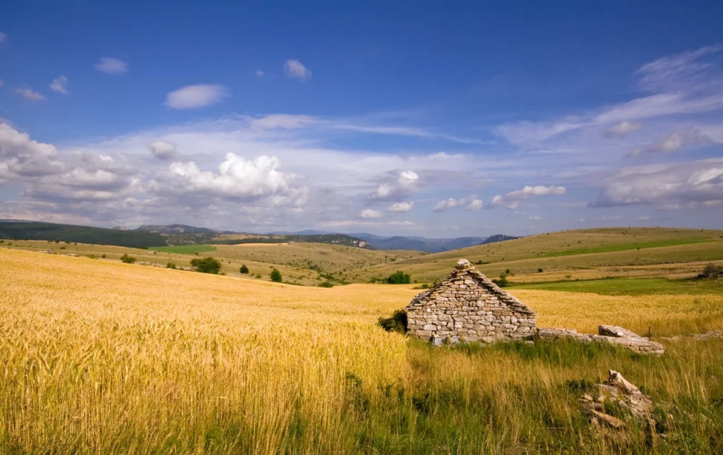 Les Causses et le travail de l'homme