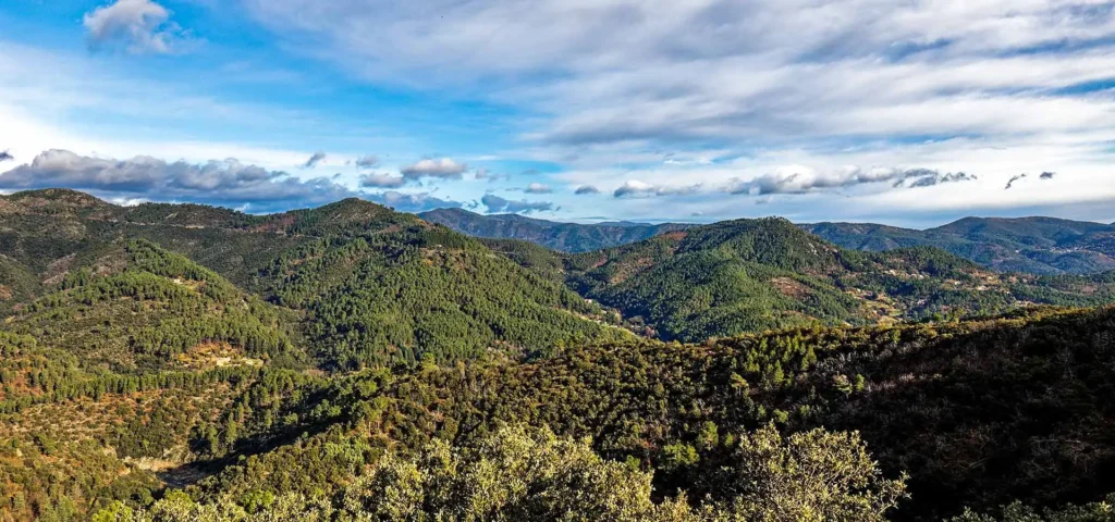 vu d'un point haut des Cévennes