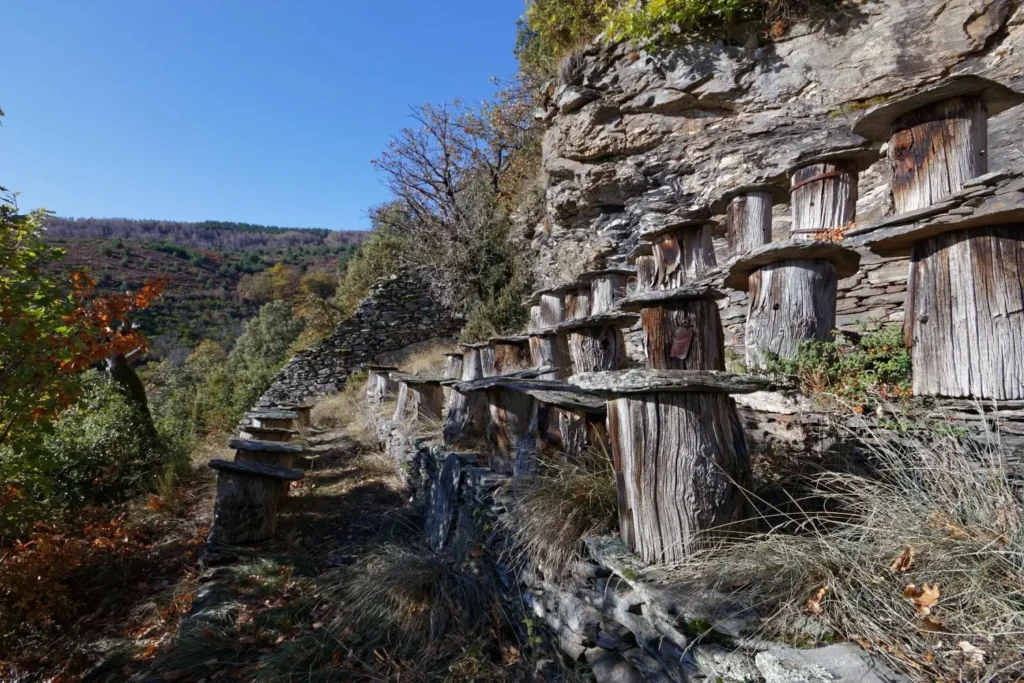 ruchers troncs typiques des Cévennes