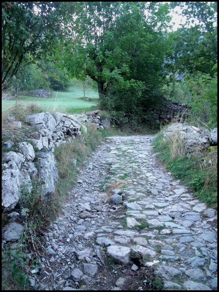 ancienne voie empiuerrée en arrivant à Saint Etienne du Valdonnez