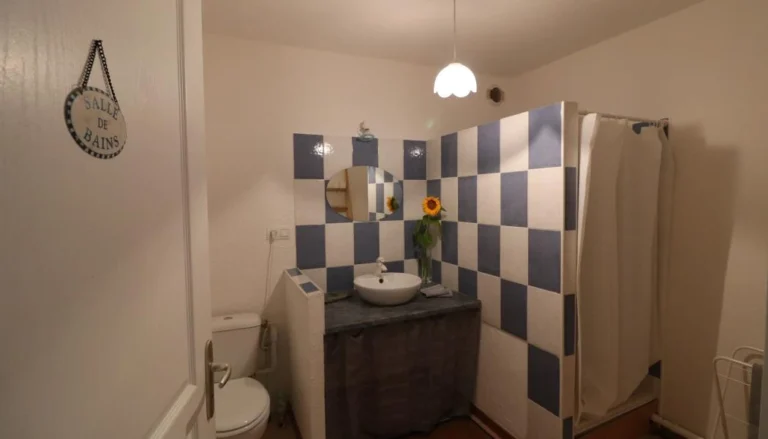 Bergerie Salle douche