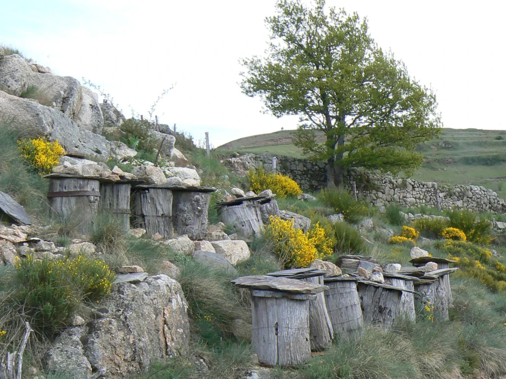 En contrbas du chemin des ruches