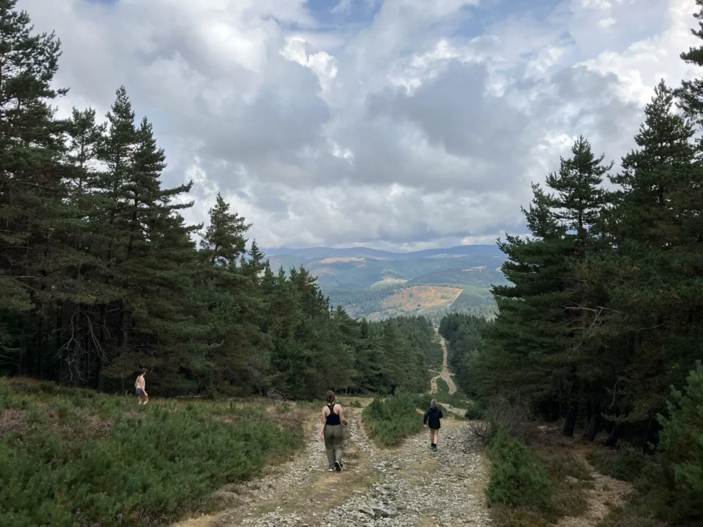 la draille du languedos descendant du signal du Ventalon
