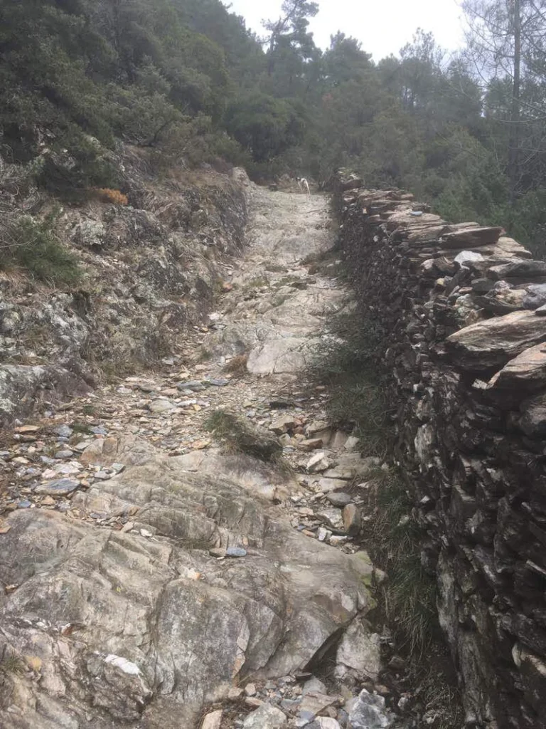 le chemin qui monte au col st pierre