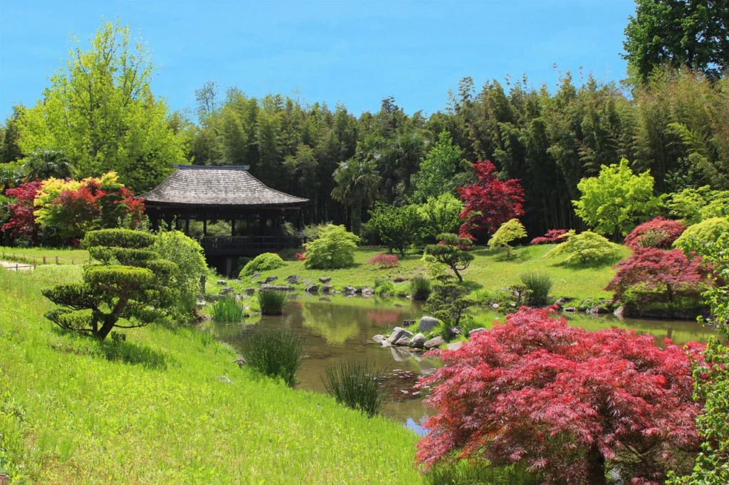 A anduze ou en asie ?