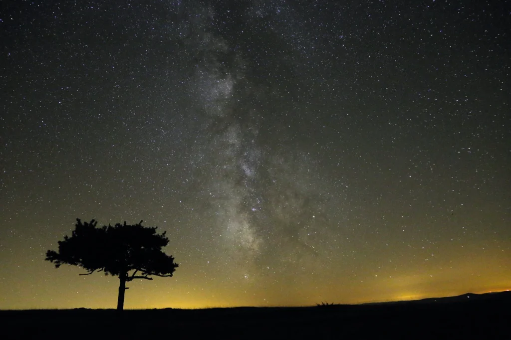Ciel étoilé dans le Parc
