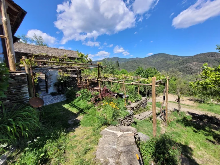 Mas Cévenol terrasse